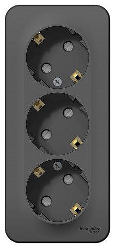 Розетка  Systeme Electric BLNRA011316 600208