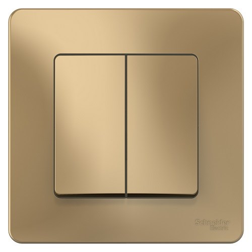 Переключатель  Systeme Electric BLNVS106604 600270