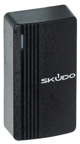 Считыватель  Skudo SK-RP100E 1215297