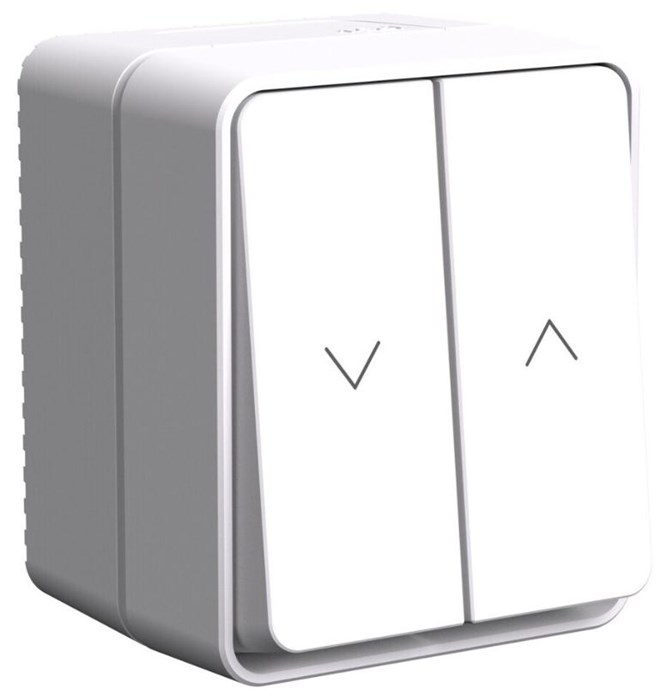 Выключатель двухклавишный для жалюзи Systeme Electric ATN540119 1155956