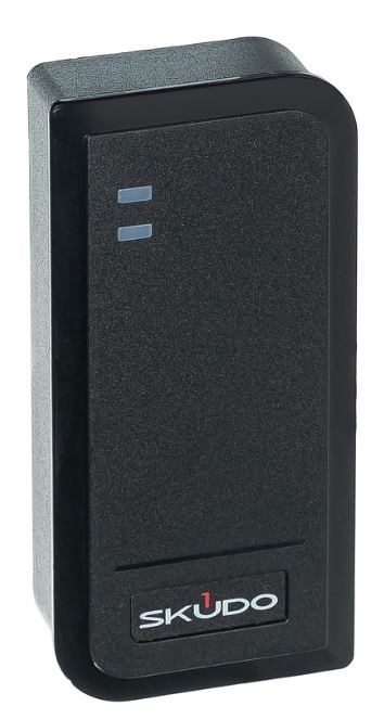 Считыватель  Skudo SK-RP300EHM 1215295