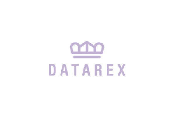 Ввод  Datarex DR-465001 832377