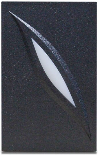 Считыватель  ZKTeco KR100E 897155