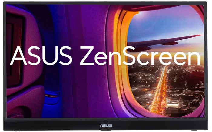Монитор 17,3" ASUS ZenScreen MB17AHG 1228955