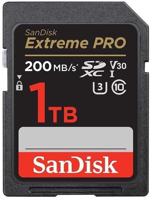 Карта памяти SDXC 1TB SanDisk SDSDXXD-1T00-GN4IN 1075028
