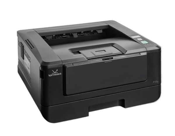 Принтер лазерный черно-белый Катюша P133-256 1096963