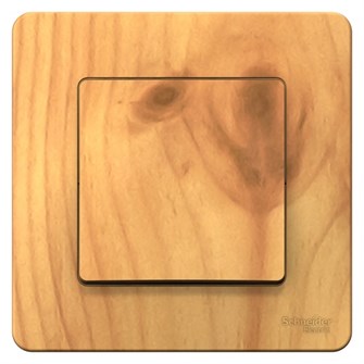 Переключатель  Systeme Electric BLNVS010605 600198