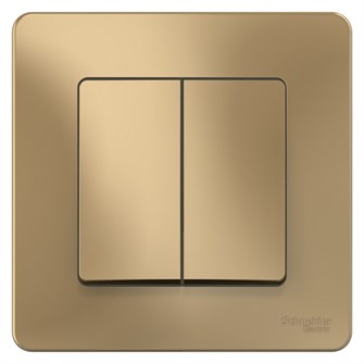 Переключатель  Systeme Electric BLNVS106604 600270