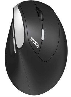 Мышь Wireless Rapoo EV250 1113655
