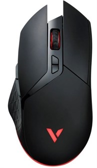 Мышь Wireless Rapoo V30L 1113648