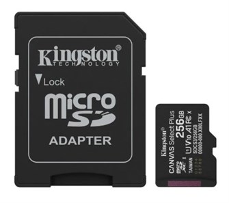 Карта памяти microSDXC 256GB Kingston SDCS3/256GB 1234825