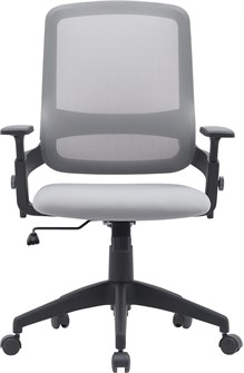 Кресло офисное Cactus CS-MC313-BKGY 1119293