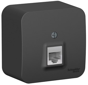 Розетка  Systeme Electric BLNIA045006 600506