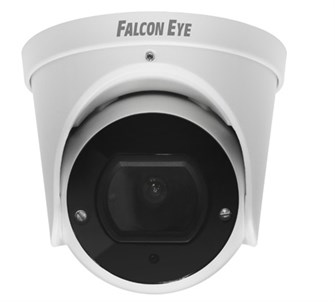 Видеокамера IP Falcon Eye FE-IPC-D2-30p 732272