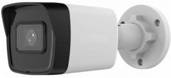 Видеокамера IP iFlow F-IC-1141M(2.8mm) 1112323