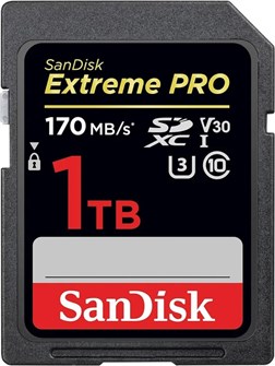 Карта памяти SDXC 1TB SanDisk SDSDXXY-1T00-GN4IN 1197077