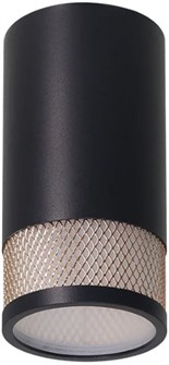 Светильник настенно-потолочный WOLTA WSL-GU10/12BG 1202361