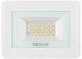 Прожектор светодиодный WOLTA WFL-30W/06W 1120002