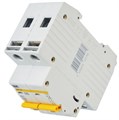 Автоматический выключатель  IEK MVA20-2-025-D 1147810