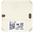 Изолятор  Рубеж ИЗ-1-R3 947039