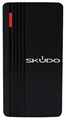 Считыватель  Skudo SK-RP100E 1215297
