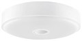 Светильник потолочный Yeelight Yeelight Crystal Sensor Ceiling Light mini 916042