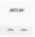 Компьютерная розетка настенная Netlan EC-UWO-2-UD2-WT-10 588072