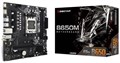 Материнская плата mATX Biostar B650MS2-E 1210693