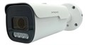 IP камера  IPTRONIC IPT-IPL1920BMA(2,7-13,5)P 1240339