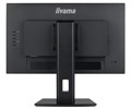 Монитор 23,8" Iiyama XUB2492HSU-B6 1082673