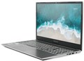 Ноутбук  Nerpa Caspica I752-15 15.6 ", Core i7, 8 Гб RAM, 256 Гб SSD, Iris Xe Graphics, Серый 1068056
