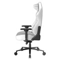 Кресло игровое DxRacer CRA/DL5000/THINKER 1223004