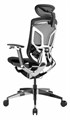 Кресло  GT Chair Dvary Pro X 1185976