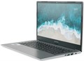 Ноутбук  Nerpa Caspica I752-14 14 ", Core i7, 8 Гб RAM, 256 Гб SSD, Iris Xe Graphics, Серый 1195636