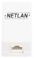 Компьютерная розетка настенная Netlan EC-UWO-1-UD2-WT-10 512825